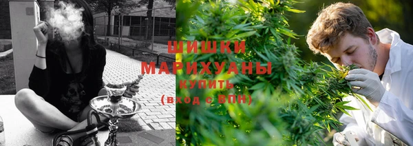 крисы Абдулино