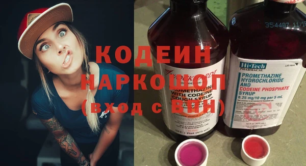 гашик Алексин