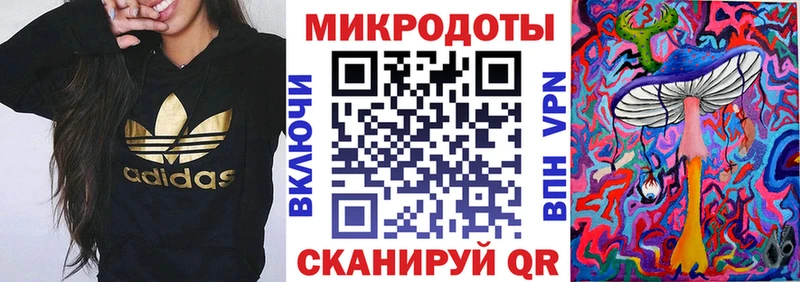 Псилоцибиновые грибы Psilocybe  Трубчевск 