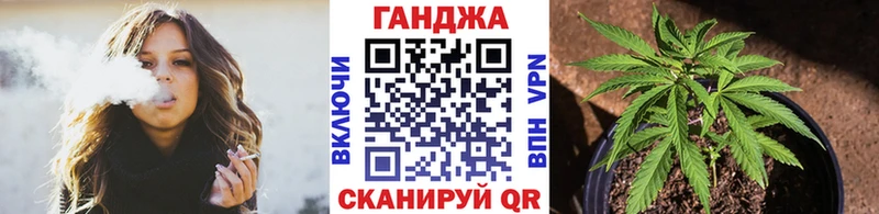нарко площадка официальный сайт  Трубчевск  Конопля VHQ  купить наркоту  mega ONION 